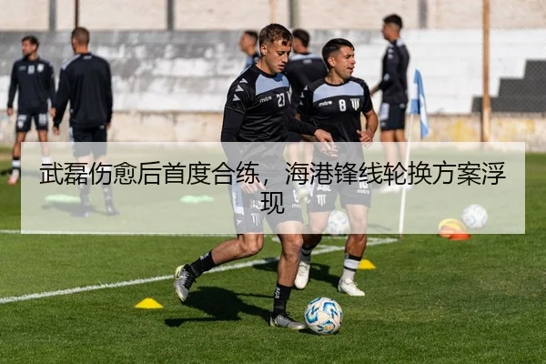 img_1788331233297_155_1_989.jpg