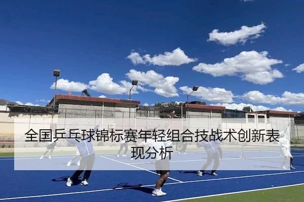 全国乒乓球锦标赛年轻组合技战术创新表现分析